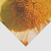 Daisy Close up Tissuepapier (Detail)