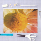 Daisy Close up Tissuepapier (Craft)