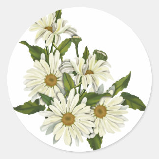 Daisy Cluster Ronde Sticker