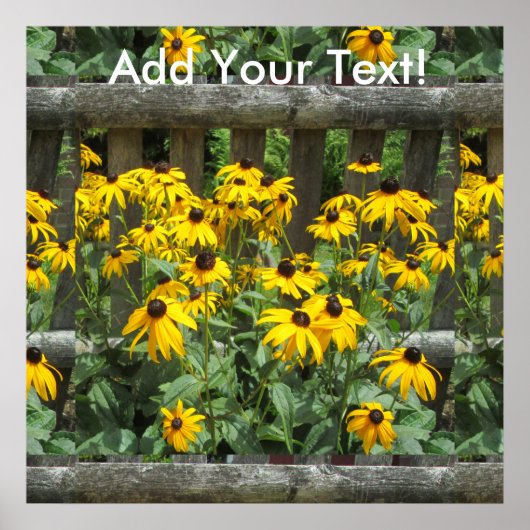 Daisy Cluster Weathered Fence Poster (Voorkant)