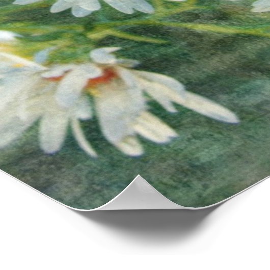 Daisy Co. Digital Art, Grunge Poster (Hoek)