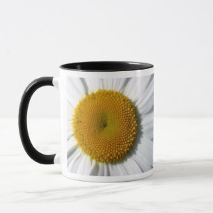 DAISY COFFEE MUGS - DESIGNER KITCHEN ITEMS - GIFTS MOK