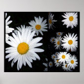 Daisy Collage Poster (Voorkant)