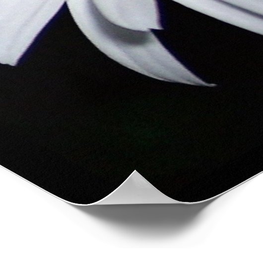 Daisy Collage Poster (Hoek)