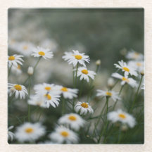 Daisy & Cottagecore esthetiek