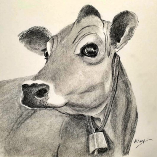 Daisy Cow wenskaart Kaart