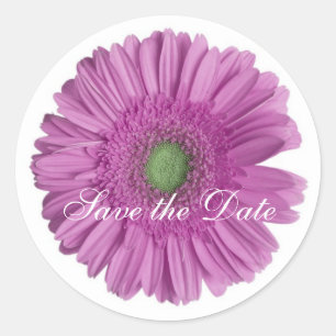 Daisy Custom Floral Sticker