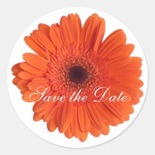 Daisy Custom Floral Sticker (Voorkant)