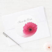 Daisy Custom Floral Sticker (Envelop)