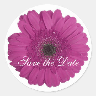 Daisy Custom Floral Sticker