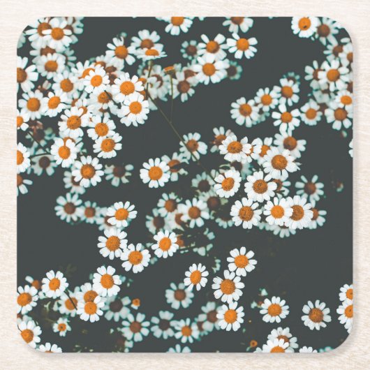 Daisy Daisies Floral Kartonnen Onderzetters (Voorkant)