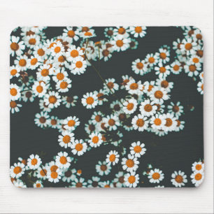 Daisy Daisies Floral Muismat