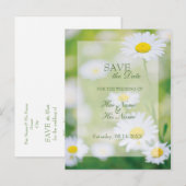 Daisy Daisies Flower Floral Summer SAVE the Date Aankondigingskaart (Voorkant / Achterkant)