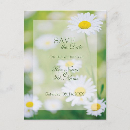 Daisy Daisies Flower Floral Summer SAVE the Date Aankondigingskaart (Voorkant)