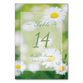 Daisy Daisies Flower Floral Summer Table Number Kaart