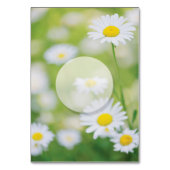 Daisy Daisies Flower Floral Summer Table Number Kaart (Achterkant)