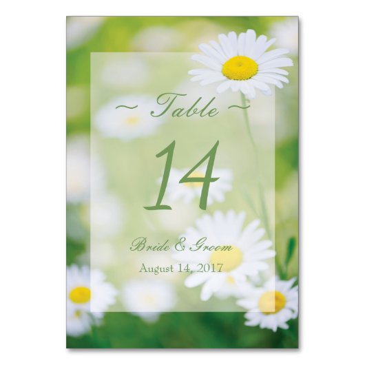 Daisy Daisies Flower Floral Summer Table Number Kaart (Voorkant)