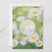 Daisy Daisies Flower Floral Summer Wedding Kaart (Achterkant)
