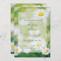 Daisy Daisies Flower Floral Summer Wedding