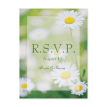 Daisy Daisies Flower Floral Summer Wedding RSVP