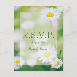 Daisy Daisies Flower Floral Summer Wedding RSVP Uitnodiging Briefkaart
