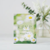 Daisy Daisies Flower Floral Summer Wedding RSVP Uitnodiging Briefkaart (Staand voorkant)