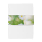 Daisy Daisies Flower Floral Summer Wedding Uitnodigingen Wikkel (Achterkant Voorbeeld)