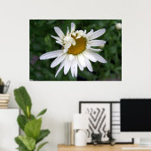 Daisy Daisies Foto's Closeups Poster (Thuiskantoor)