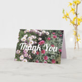 Daisy Daisies Pink Red Flowers Floral bedankt Kaart (Gele Bloem)