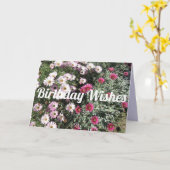 Daisy Daisies Pink Red Flowers Floral Birthday Kaart (Gele Bloem)