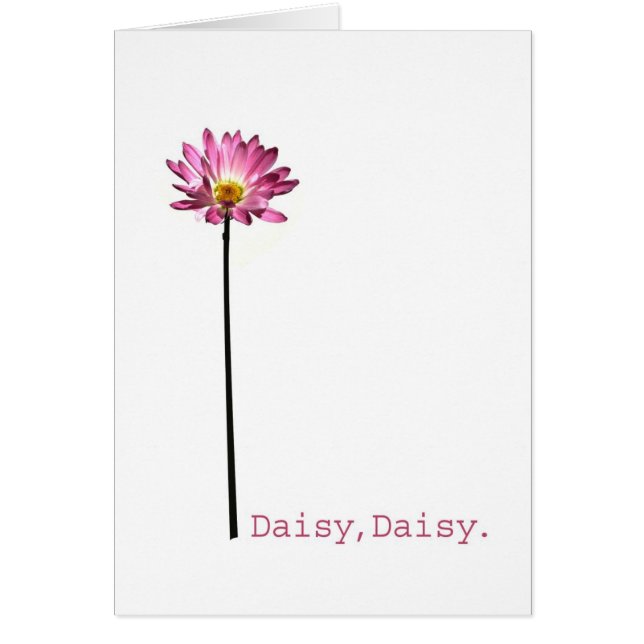 Daisy, Daisy (Voorkant)