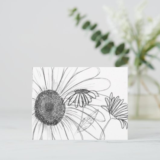 Daisy, Daisy Briefkaart (Staand voorkant)