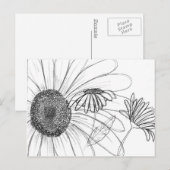 Daisy, Daisy Briefkaart (Voorkant / Achterkant)