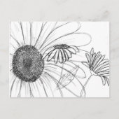 Daisy, Daisy Briefkaart (Voorkant)