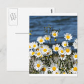 Daisy-Daisy Briefkaart (Voorkant / Achterkant)