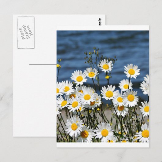 Daisy-Daisy Briefkaart (Voorkant / Achterkant)