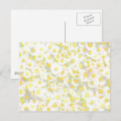 Daisy Daisy Briefkaart (Voorkant / Achterkant)