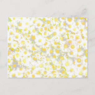 Daisy Daisy Briefkaart