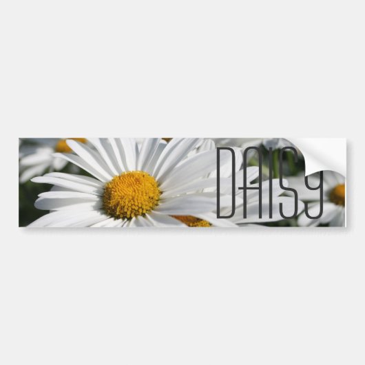 Daisy Daisy Bumpersticker (Voorkant)