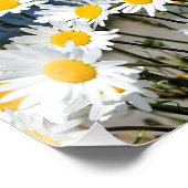 Daisy-Daisy Foto Afdruk (Hoek)