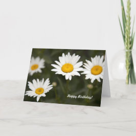 Daisy Daisy Kaart