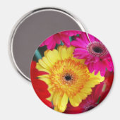 Daisy Daisy ~ Magnet (Voorkant / Achterkant)