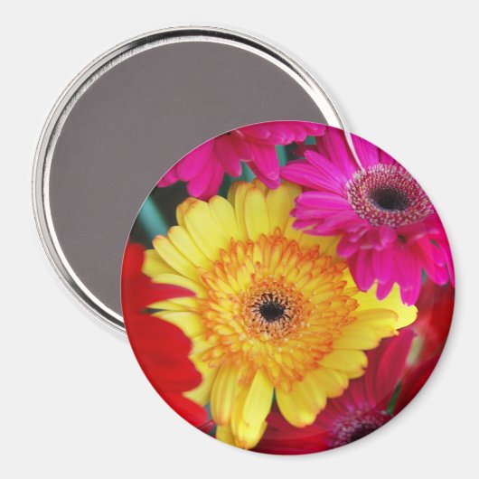 Daisy Daisy ~ Magnet (Voorkant / Achterkant)