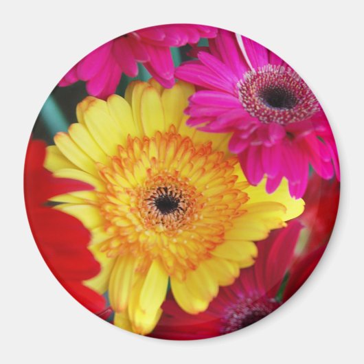 Daisy Daisy ~ Magnet (Voorkant)