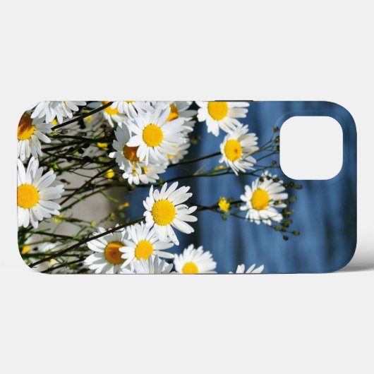 Daisy-Daisy, mooie wilde madeliefjes iPhone Hoes (Achterkant (horizontaal))