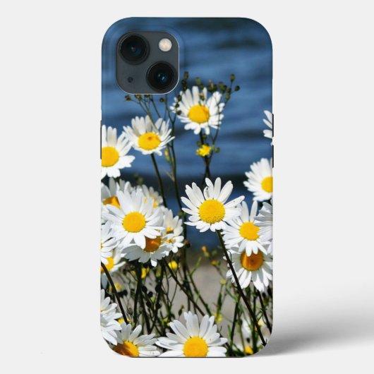 Daisy-Daisy, mooie wilde madeliefjes iPhone Hoes (Achterkant)