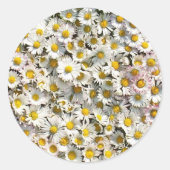 Daisy Daisy Ronde Sticker (Voorkant)