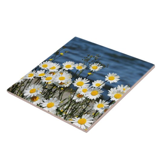Daisy-Daisy Tegeltje (Zijkant)