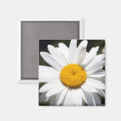 Daisy Darling Magneet (Voorkant / Achterkant)