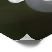 Daisy Darling Poster (Hoek)